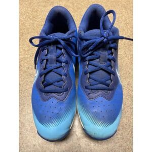 Nike Diamond Fastflex Alpha 4 Keystone Hyper tennis shoe